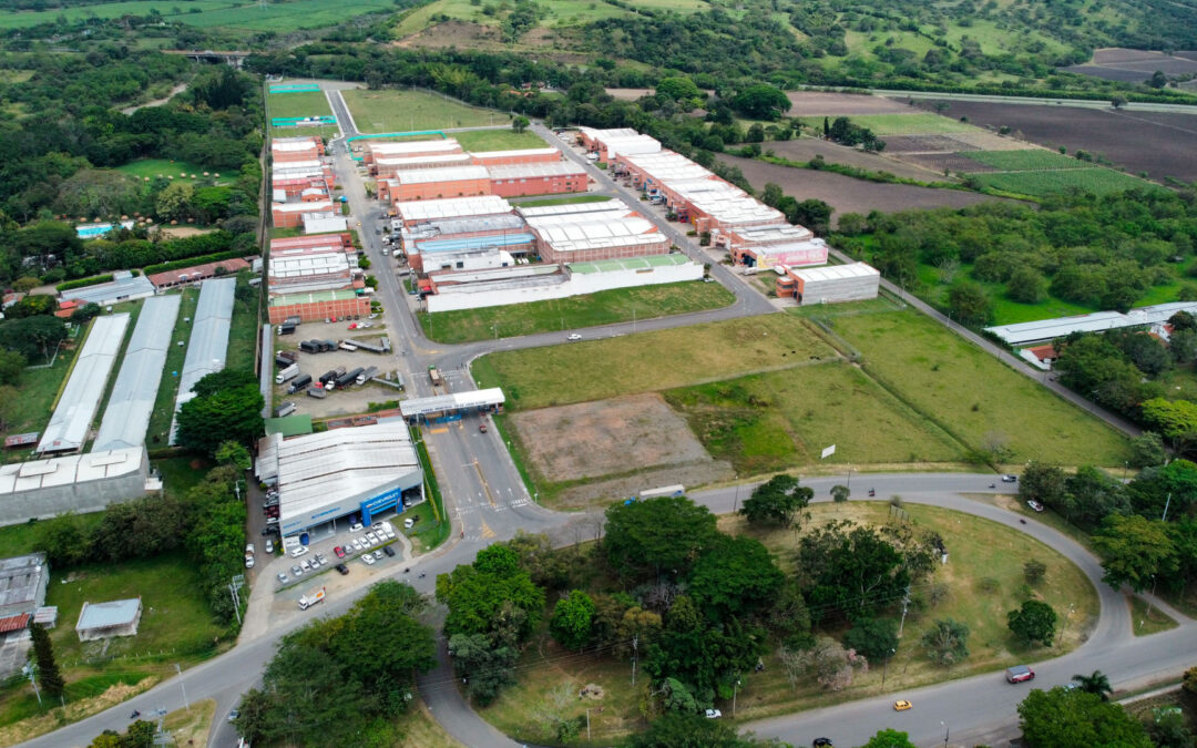 Lote G8